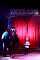 Cirque Médrano